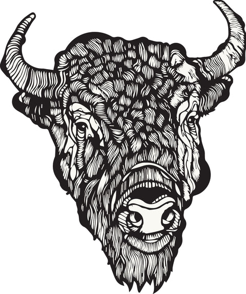 Original Buffalo_Wild Iris Coffeehouse _ Unisex Pullover Sweatshirt